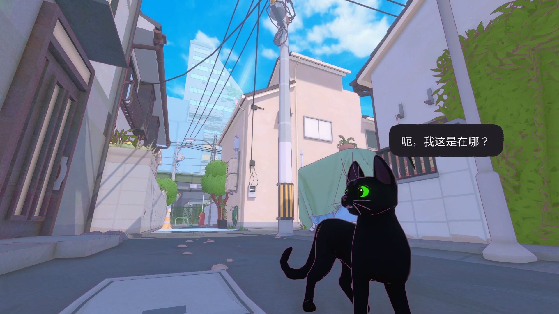 小猫咪大城市-Little Kitty, Big City
