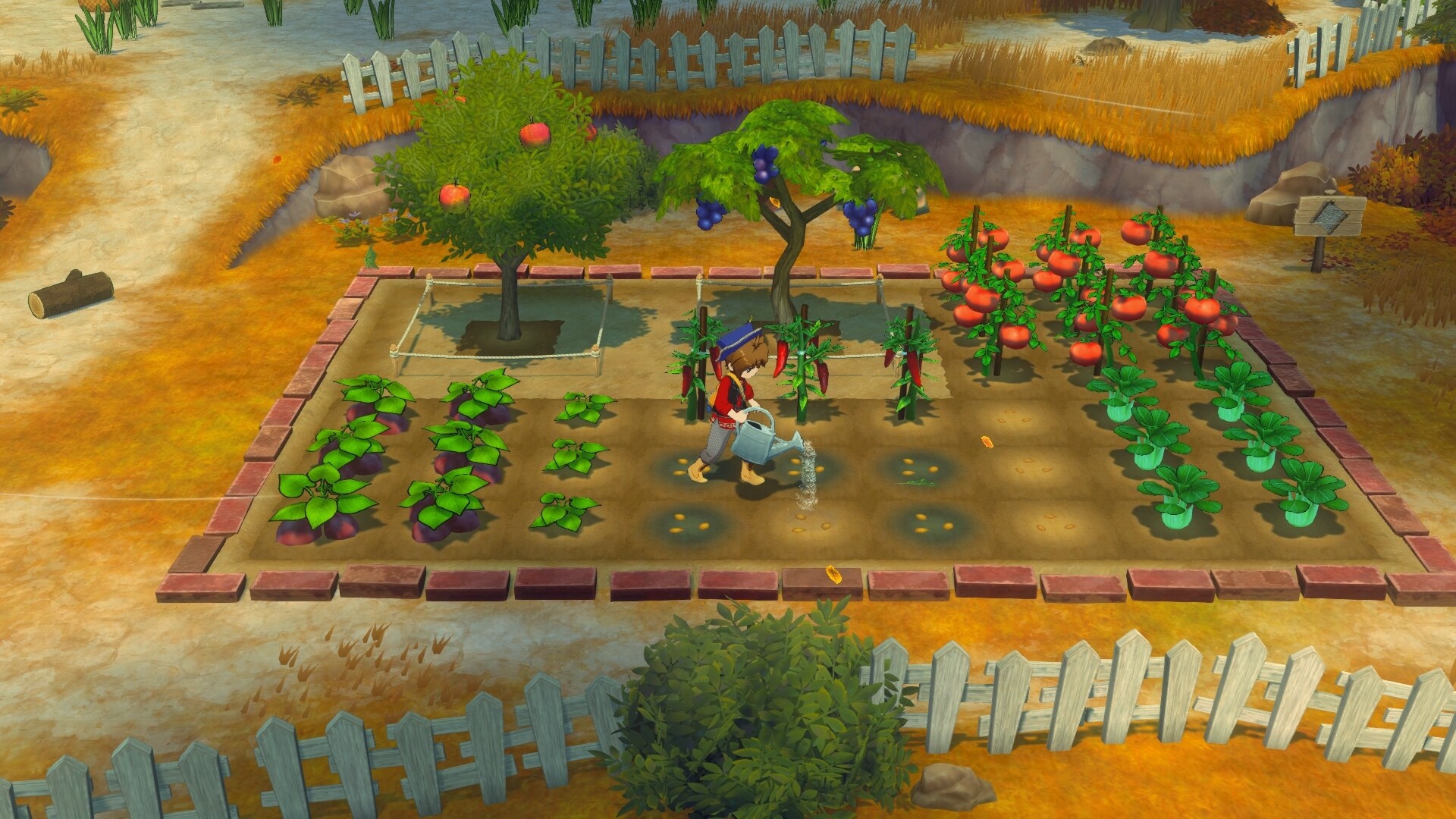 牧场物语 来吧！风之繁华集市-STORY OF SEASONS: Grand Bazaar